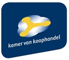 Wie wint de International Business Award 2010?