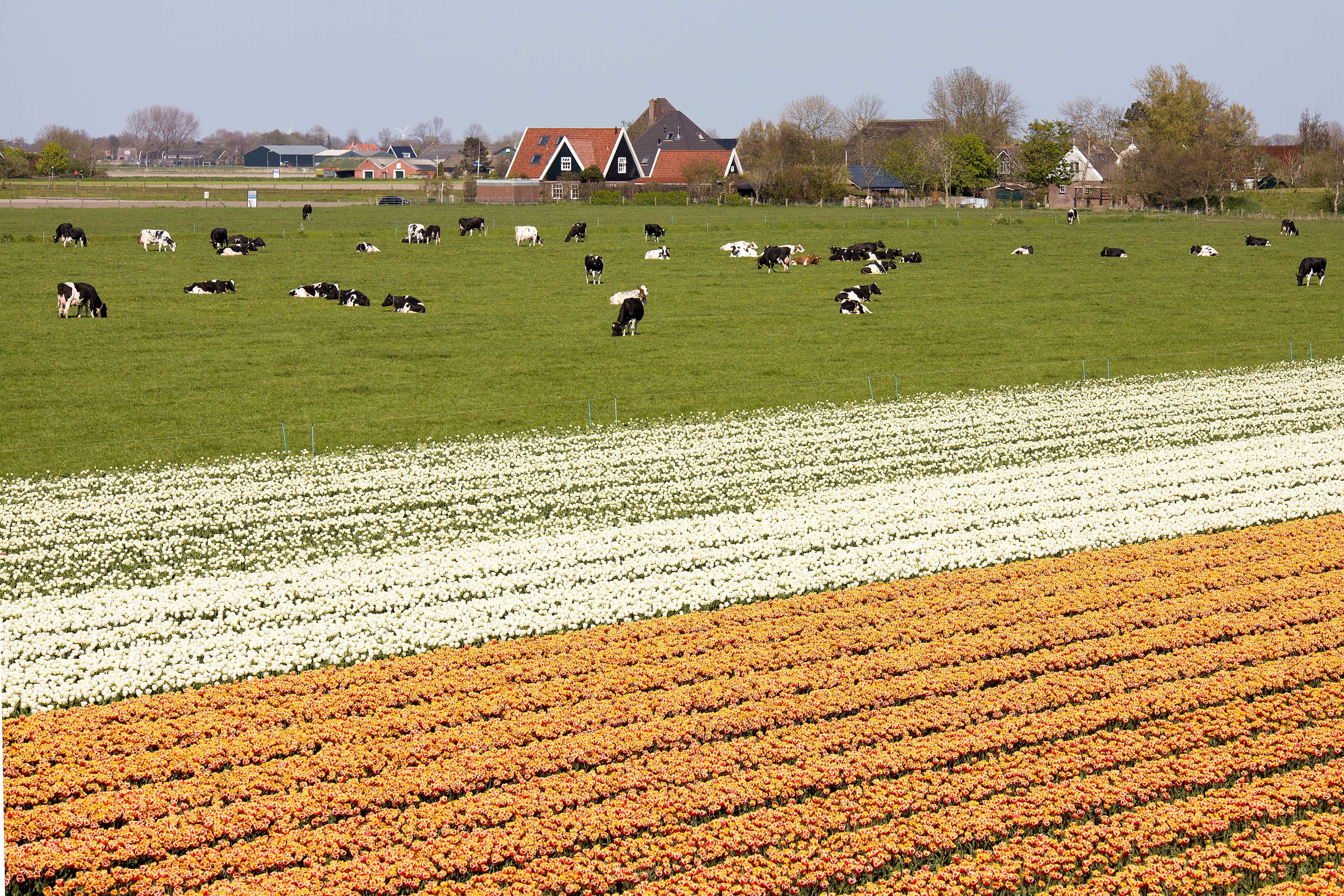 Versnellingsakkoord om stikstofimpasse op te lossen