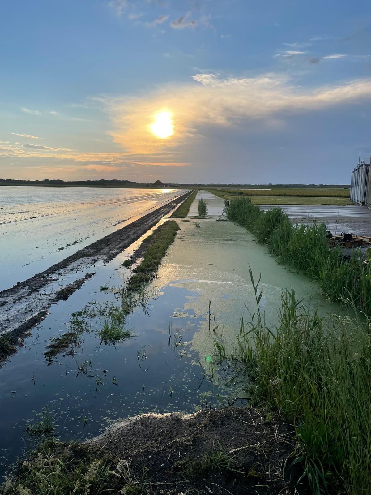 Meld acties wateroverlast vóór 4 juli bij LTO Noord