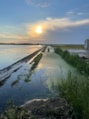 IMG-20210629-WA0001