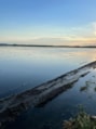 IMG-20210629-WA0002