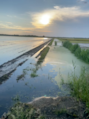 VID-20210629-WA0005