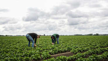 Onderzoek huisvestingslocaties arbeidsmigranten levert 14 voorkeursgebieden op