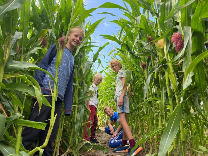 Maisdoolhof bij Land van Fluwel - Zaterdag 11 september speciale speurtocht en gratis toegang voor kinderen van ondernemers uit Schagen