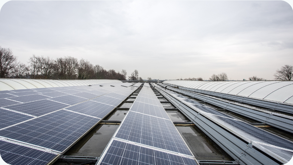 ONHN helpt ondernemers kosteloos bij aanvraag subsidie voor netcongestie-oplossingen: SON-regeling