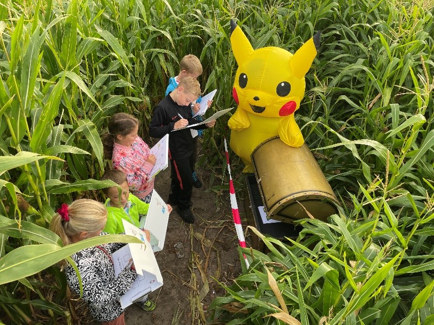 Kom lekker dwalen in het maisdoolhof!