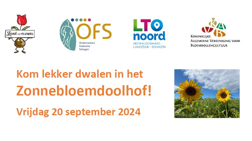 Kom lekker dwalen in het Zonnebloemdoolhof!