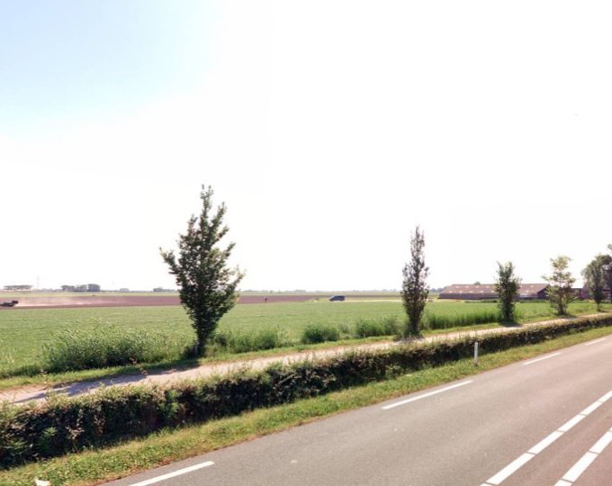 Bomen langs de N241 tussen Schagen en Verlaat worden vervangen i.v.m. te kleine groeiplaats