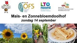 Mais - Zonnebloemdoolhof 2025