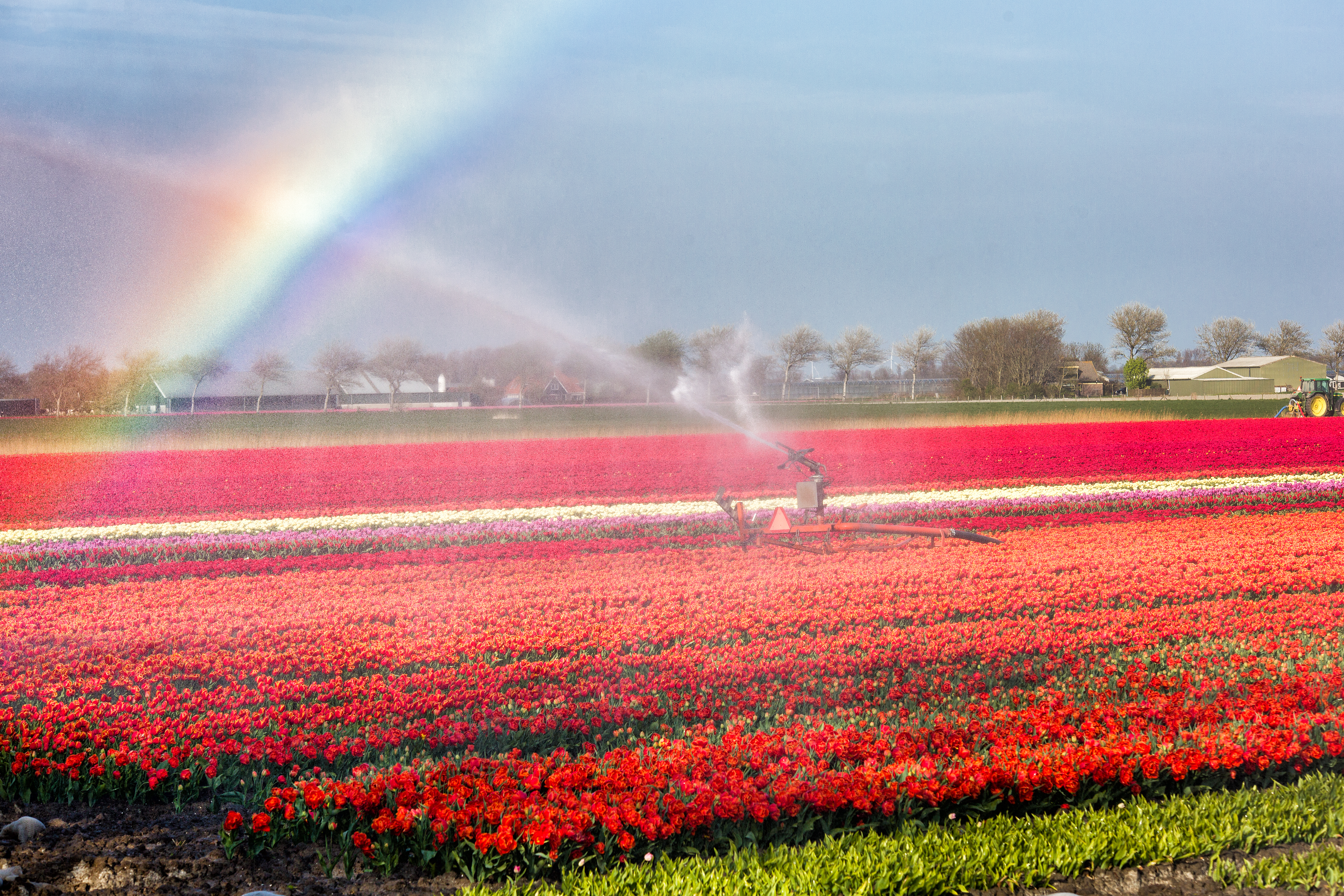  Sectoroverleg november 2025 - OFS Agribusiness