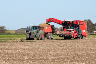 OFS (31)