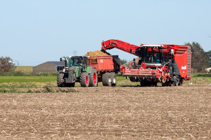 OFS (31)