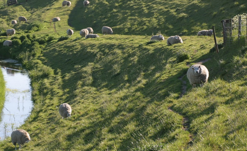 Schermafbeelding 2026-05-20 123451